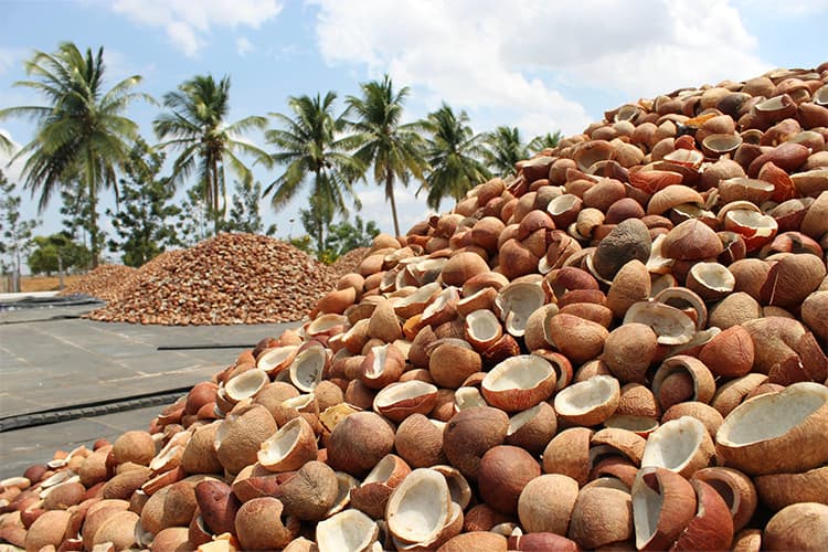 Copra Drying